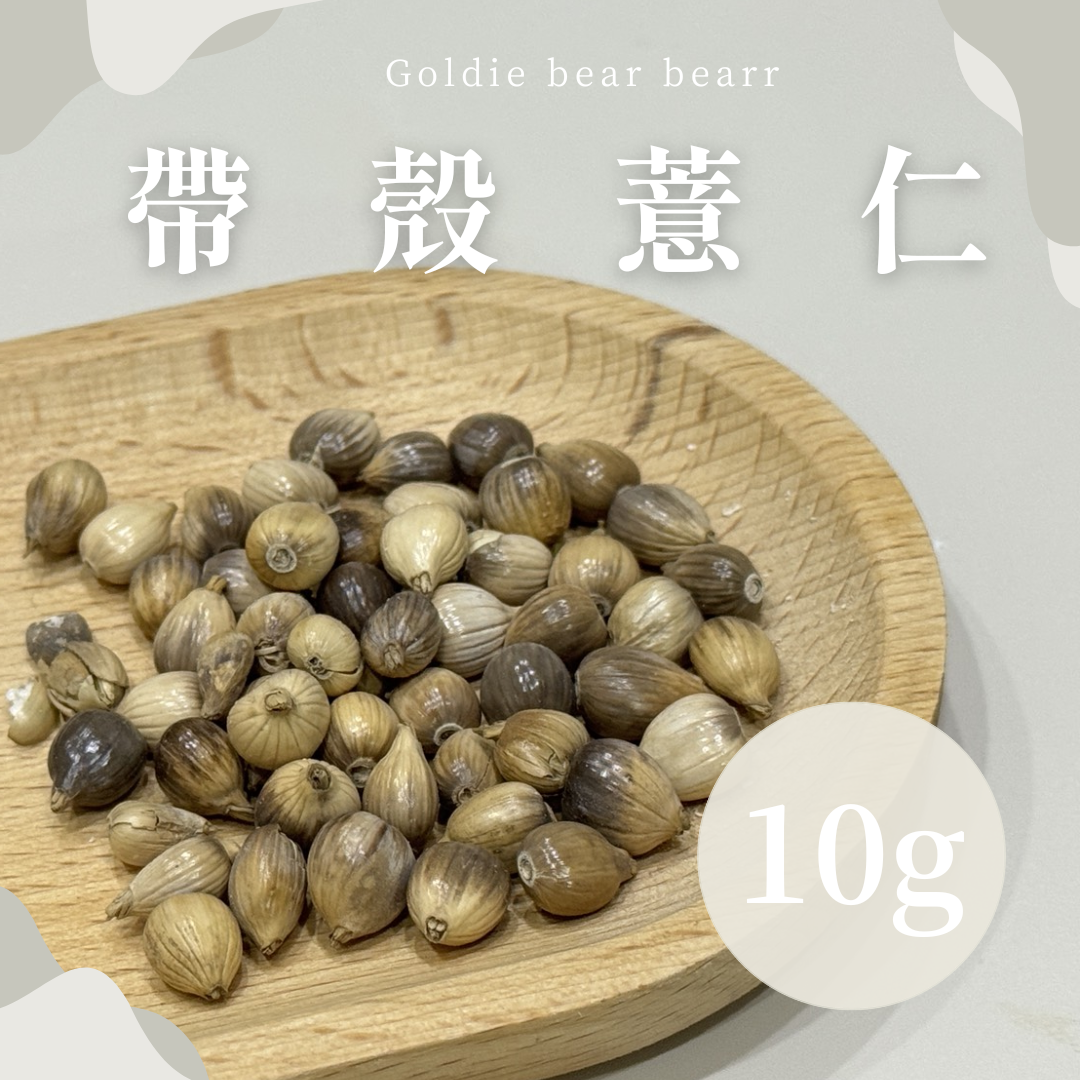 Goldie bear | 『帶殼薏仁』