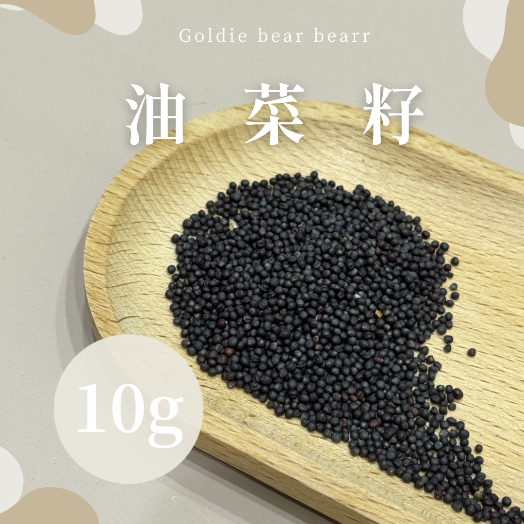 Goldie bear | 『油菜籽』