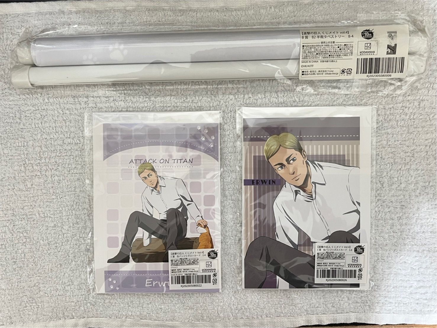 艾爾文_猫と戯れる