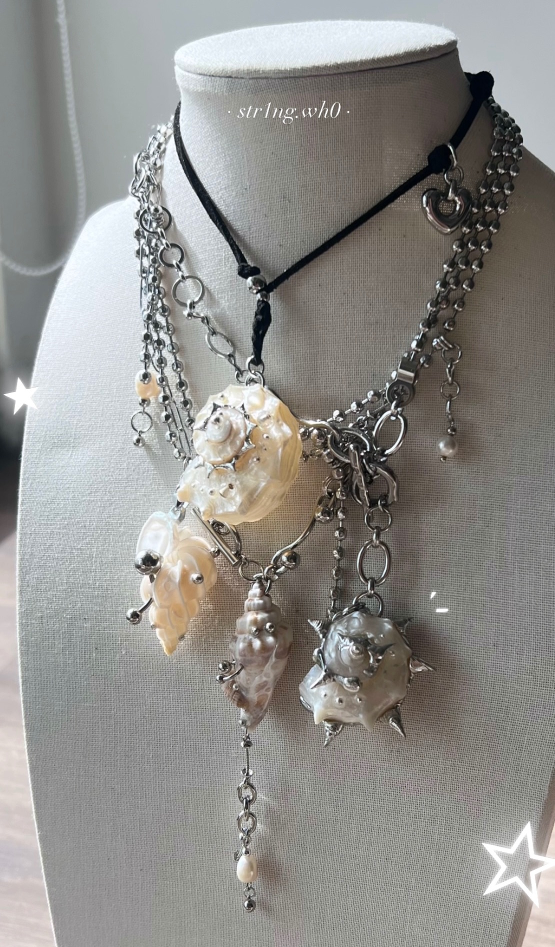 螺殼⋆⋆貝類 ⋆⋆ .𖥔˚