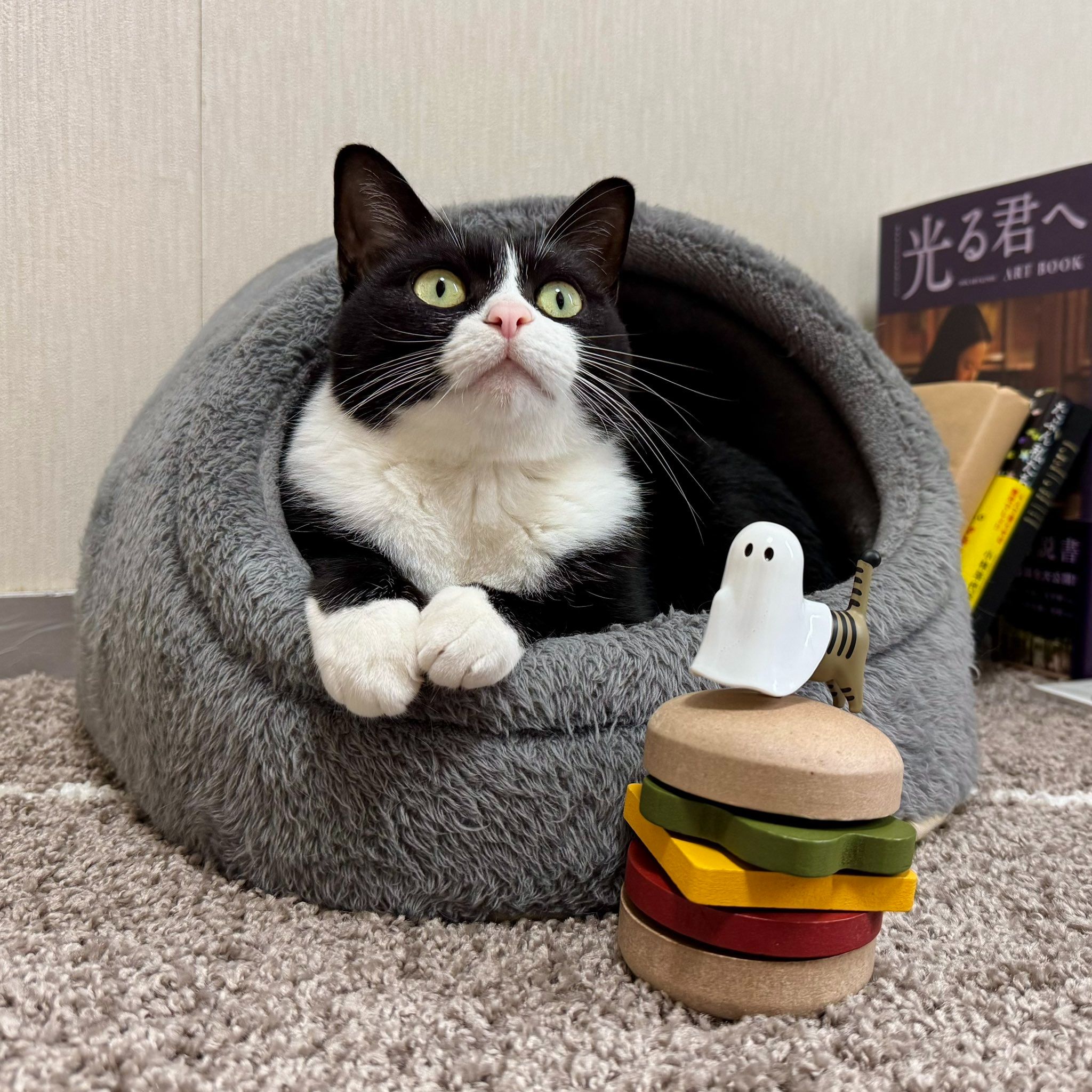 手帳區