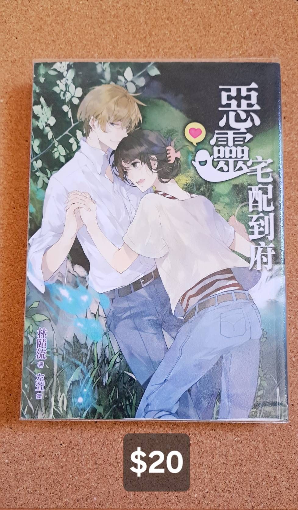 惡靈宅配到府-小說