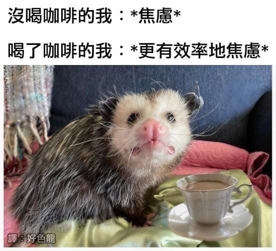 20娃衣