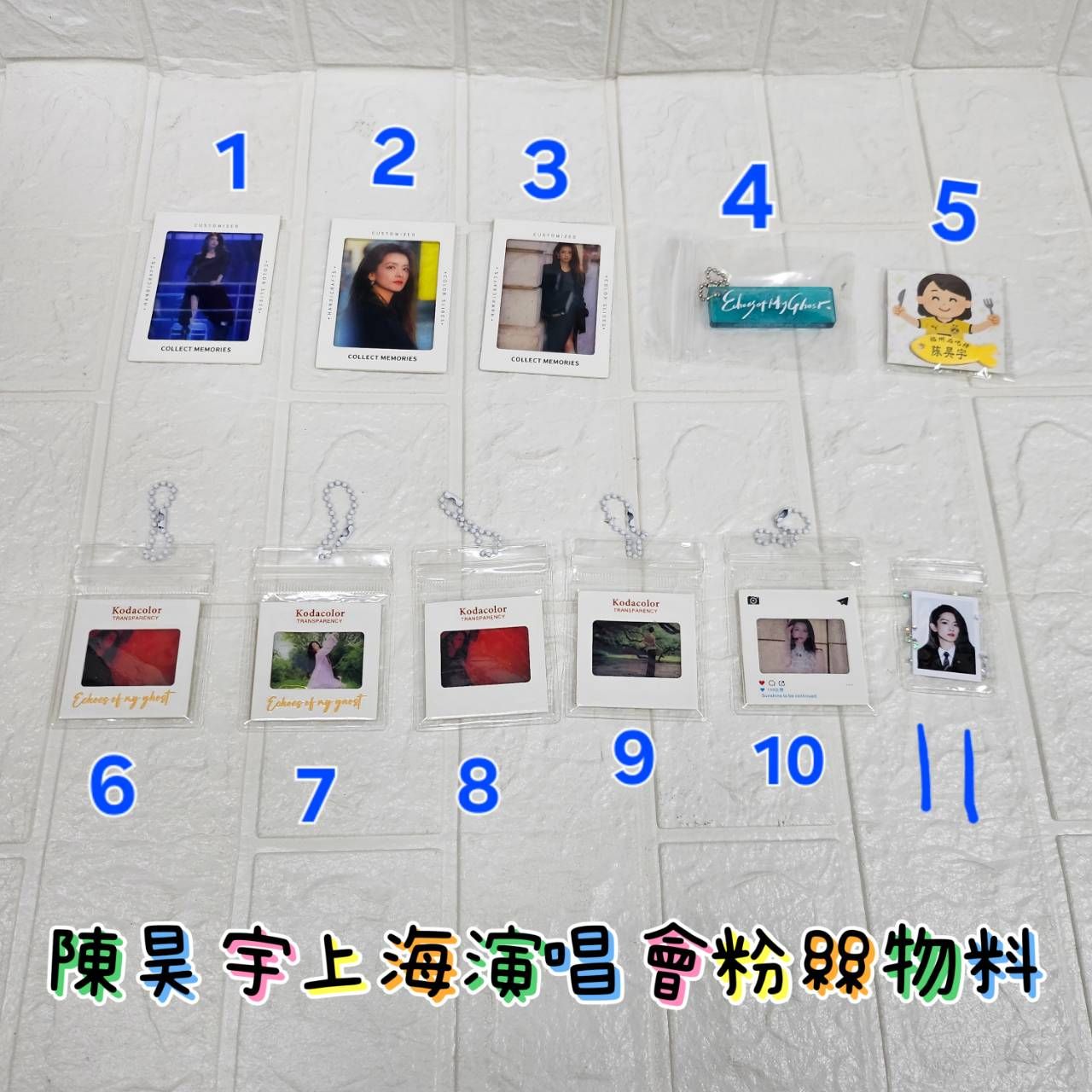 昊宇上海演唱會粉絲物料