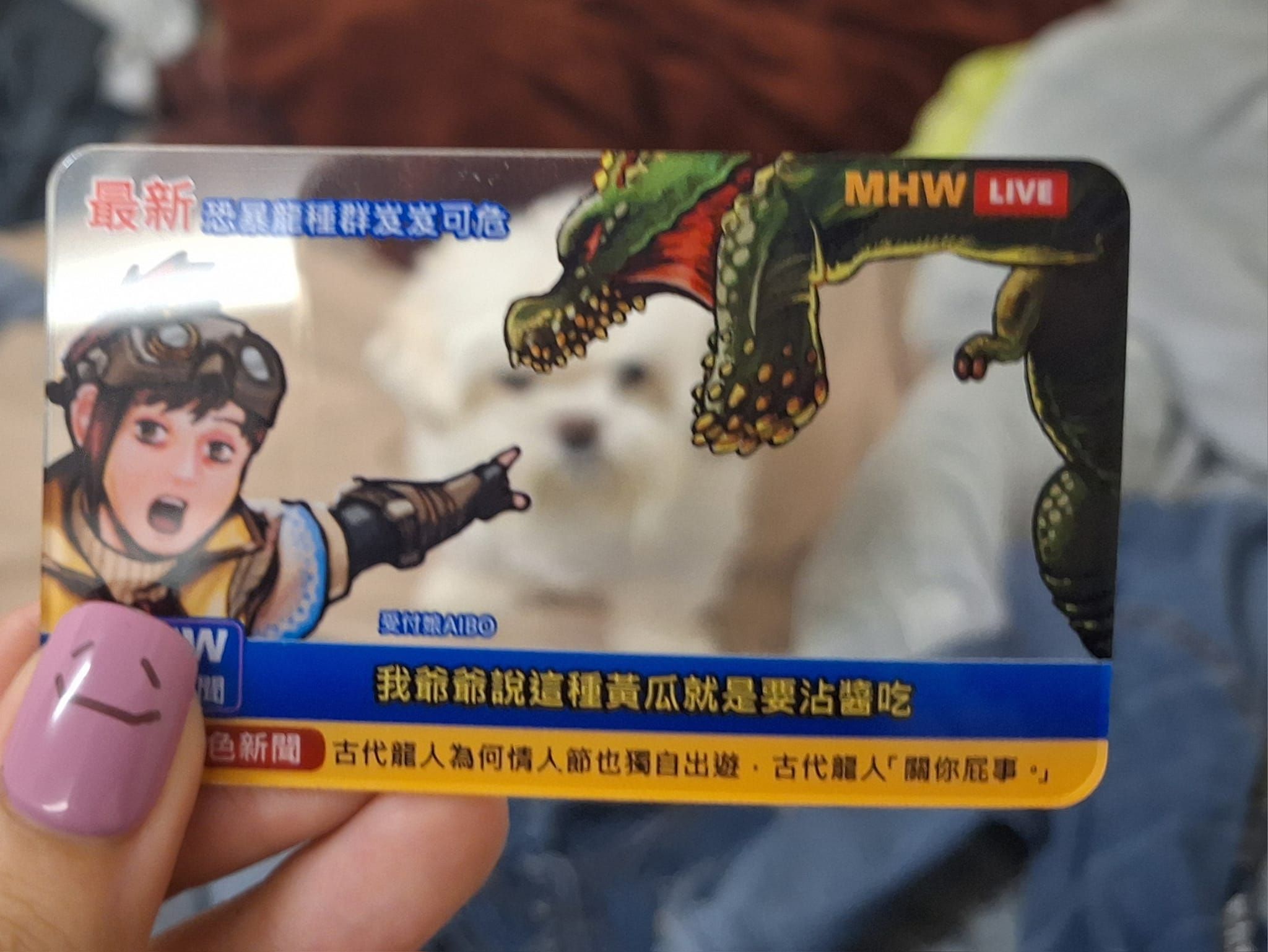 【魔物獵人】透卡