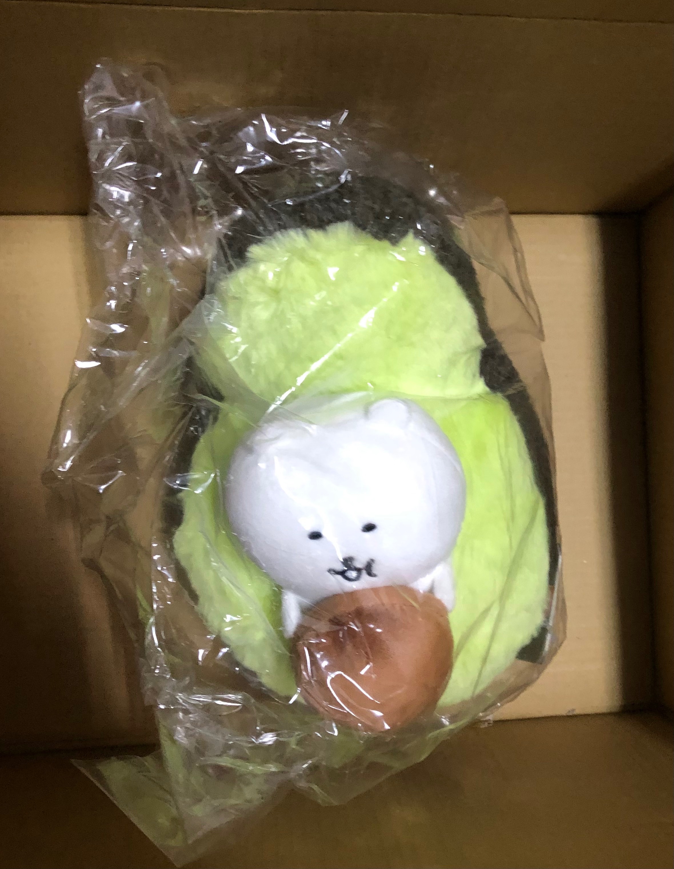 酪梨熊