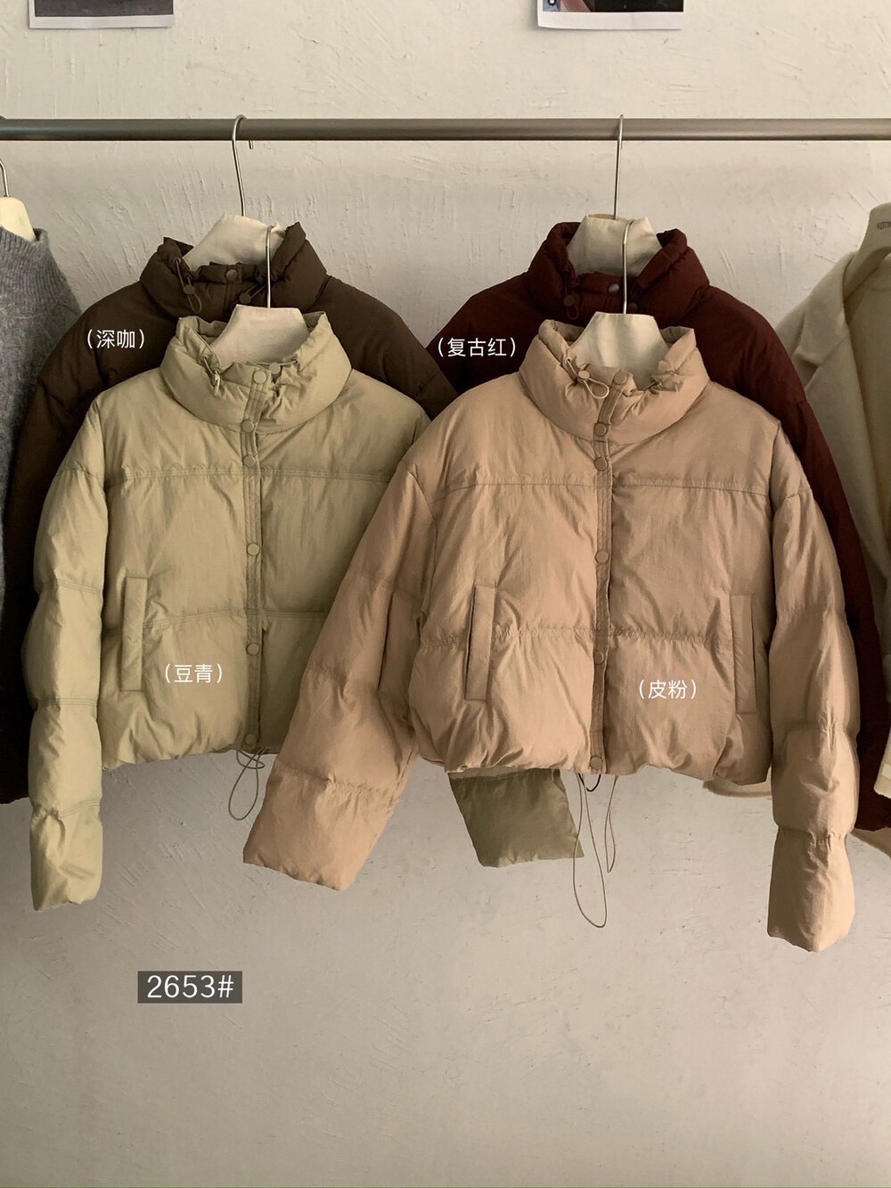 預購✨ 韓系短版羽絨外套 女生立領保暖棉服 顯瘦短版厚外套