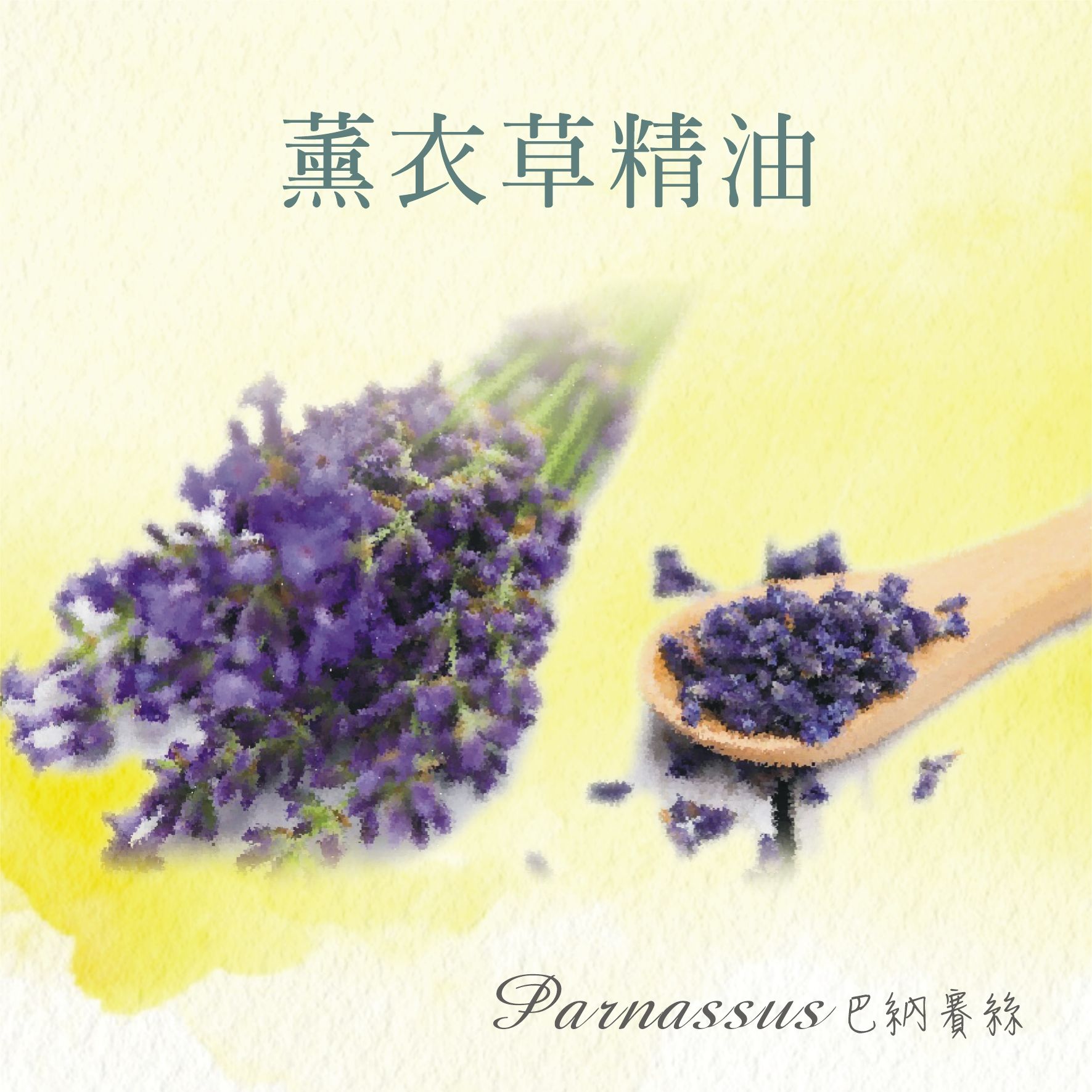芳療級 葛羅索醒目薰衣草精油