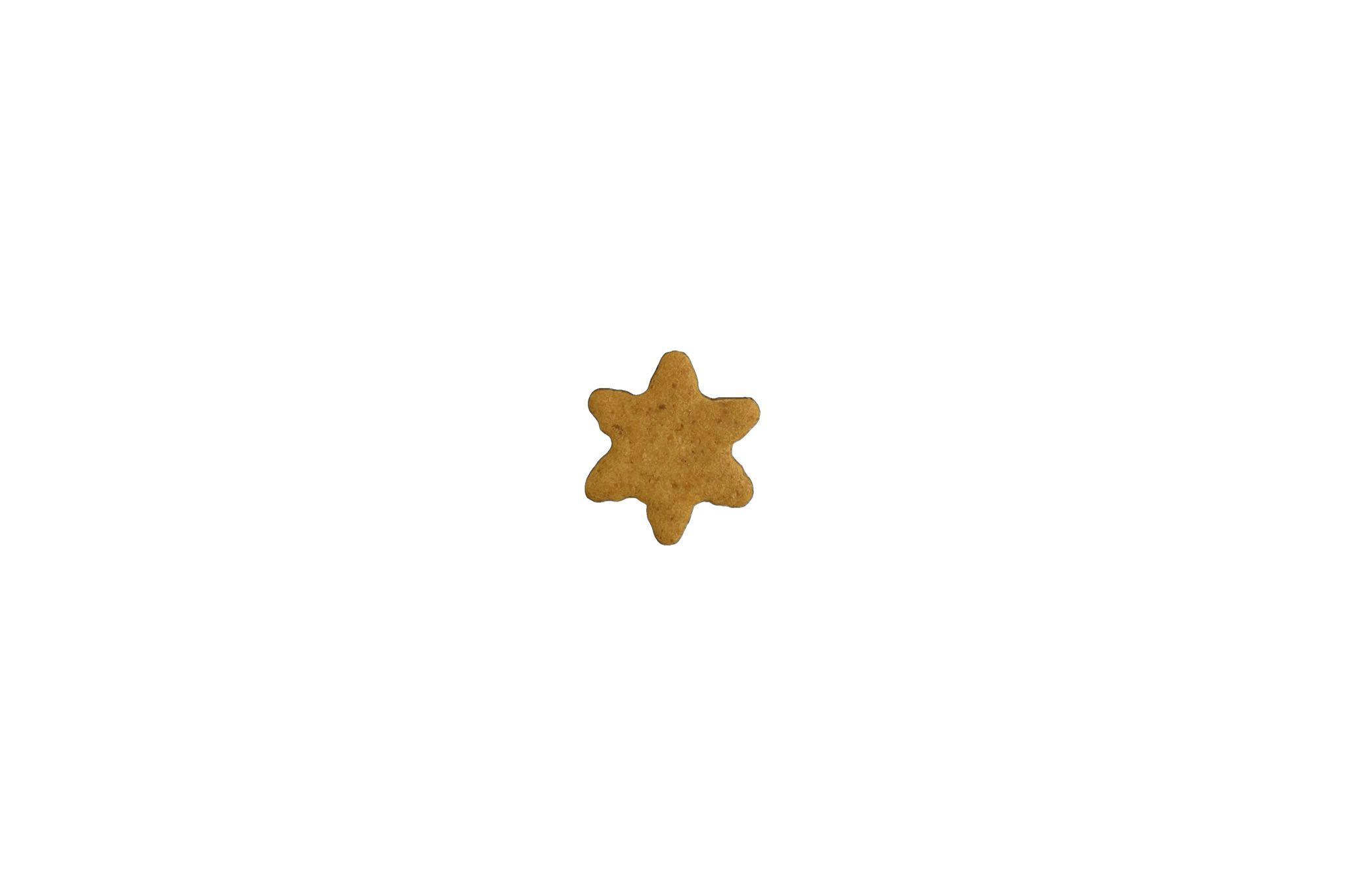 小蕃茄