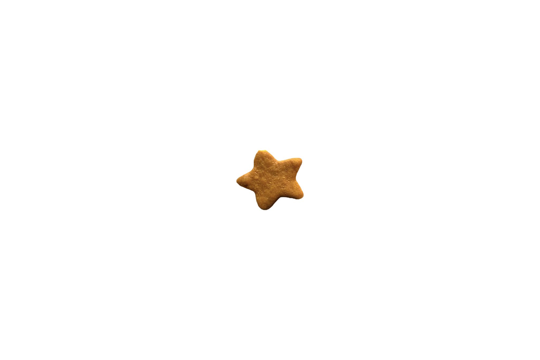 小南瓜