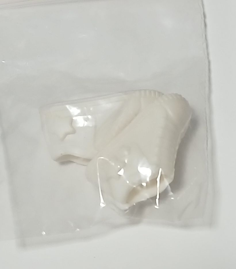 贈品區（有下單其他東西可免費帶）