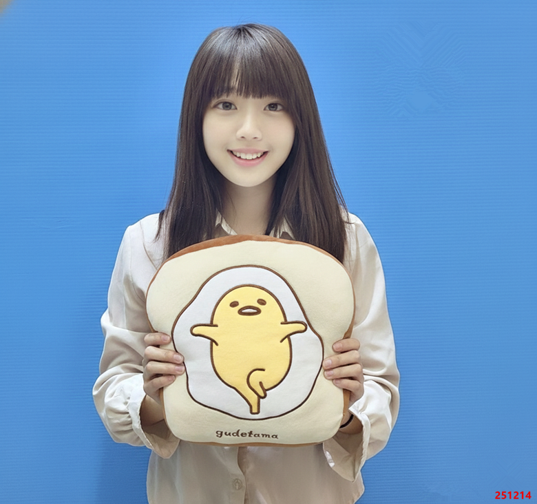 三麗鷗 蛋黃哥吐司抱枕 蛋黃哥 吐司抱枕 蛋黃哥抱枕 抱枕 靠枕 蛋黃哥靠枕 全新正版