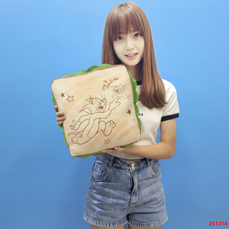 【正版授權】湯姆貓 傑利鼠 抱枕三明治枕 湯姆傑利三明治抱枕 三明治抱枕 靠枕 抱枕