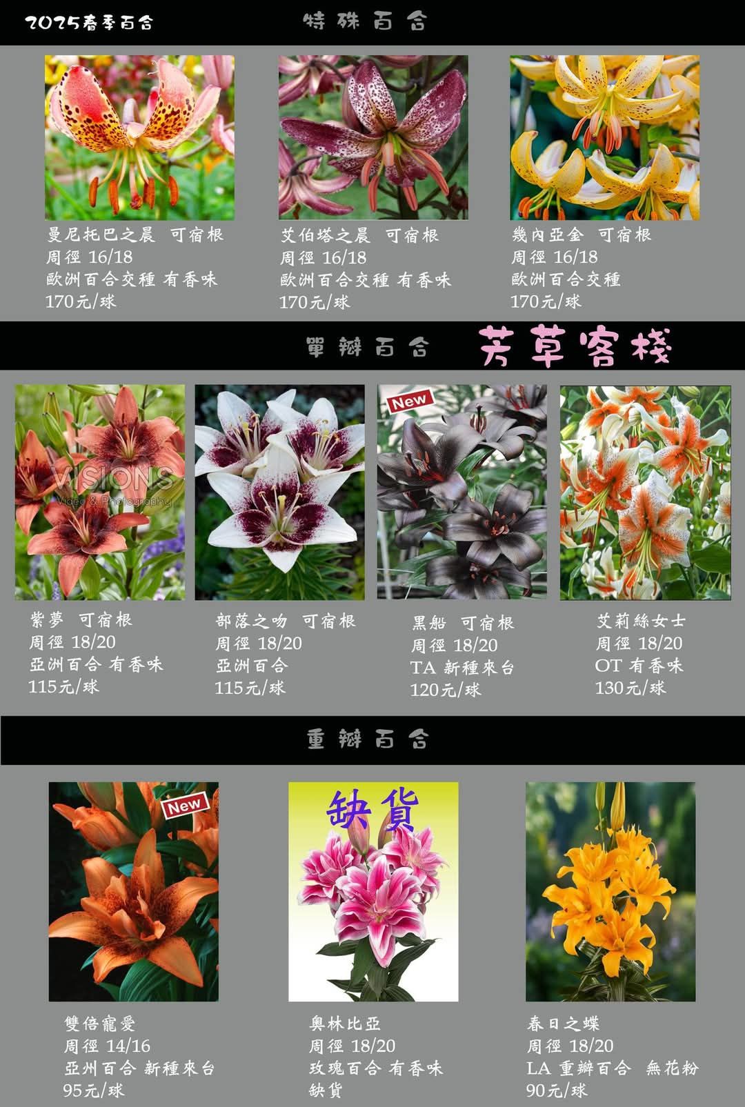 芳草客棧2025春季百合