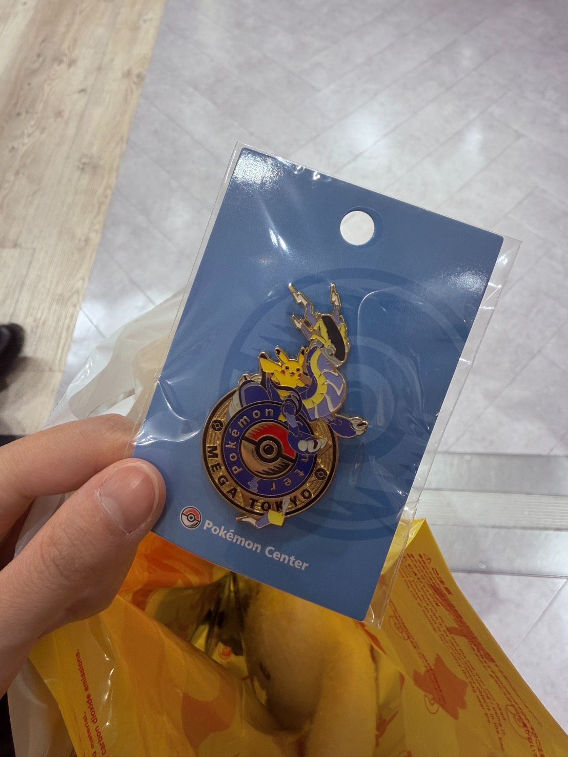 寶可夢徽章