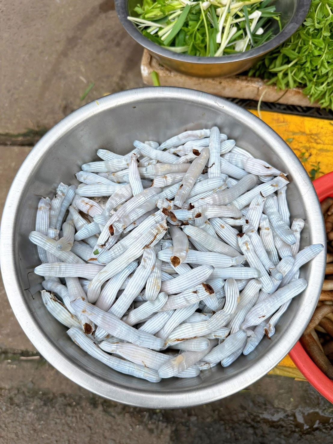 泥丁này tứng 約定 500g