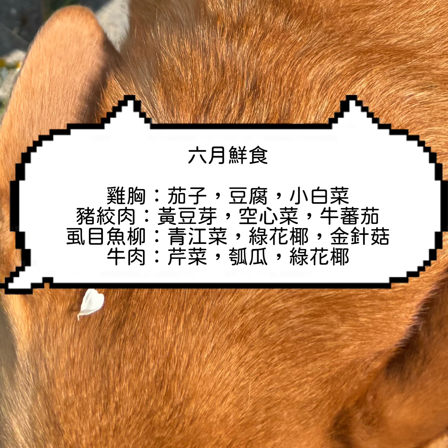 ❤️‍🔥四月菜單