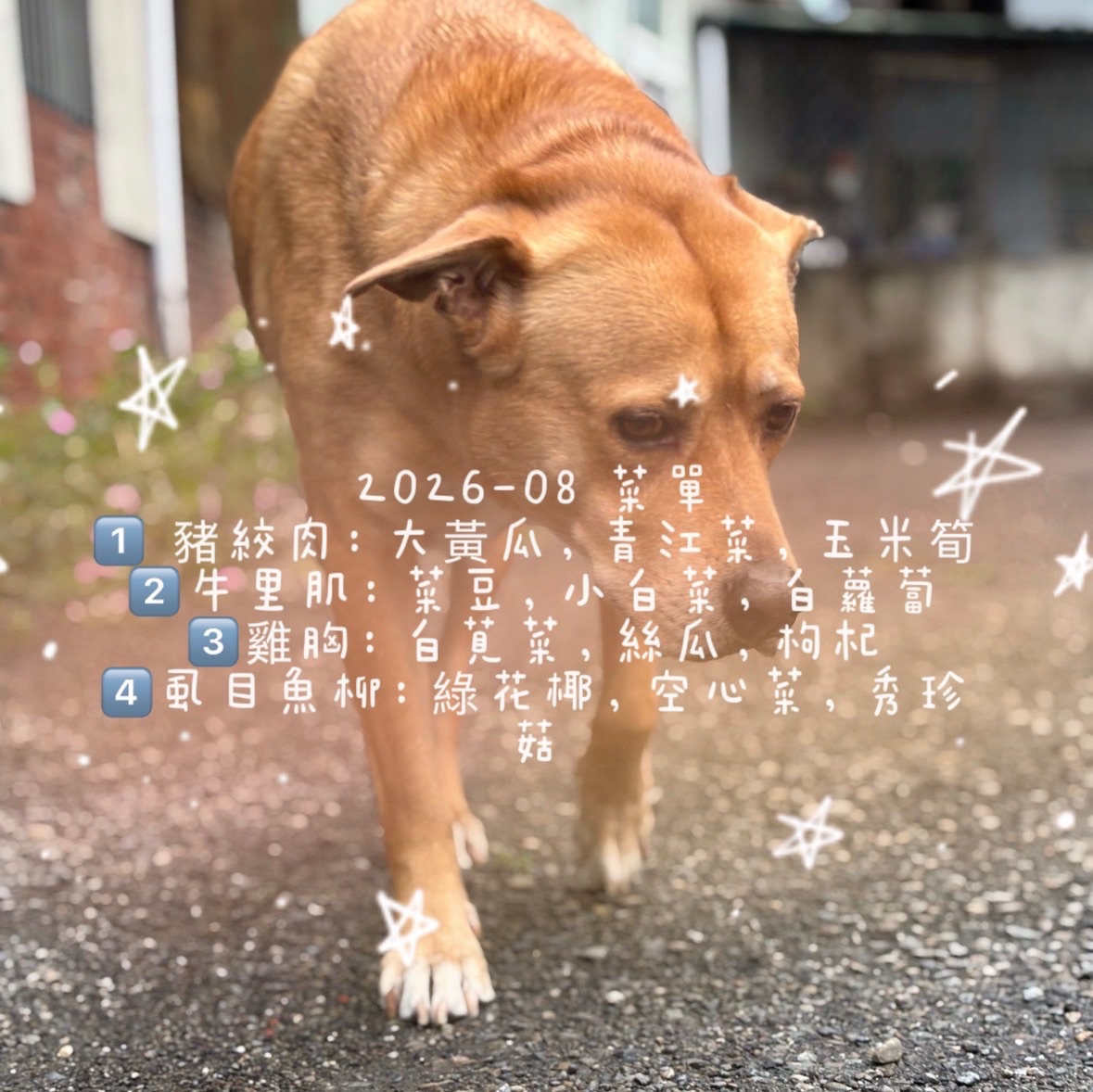 八月菜單🏖️