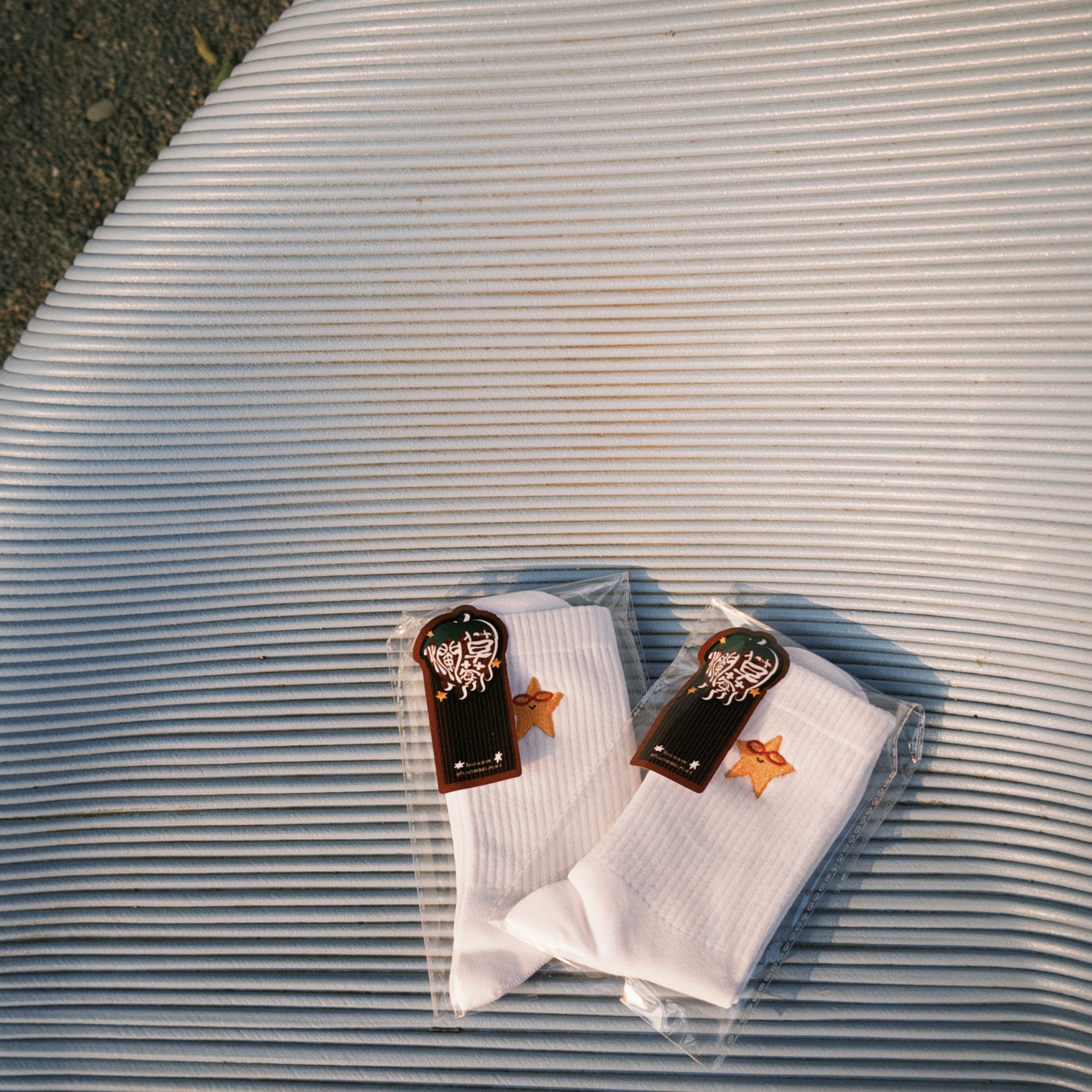 Z世代最閃亮的星★😎它4襪ㄓ