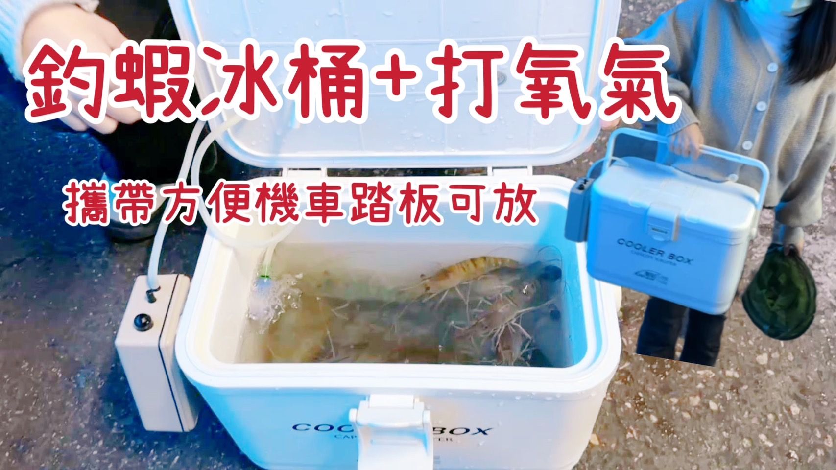 打氧8.8公升冰桶 活蝦桶Made in TAIWAN