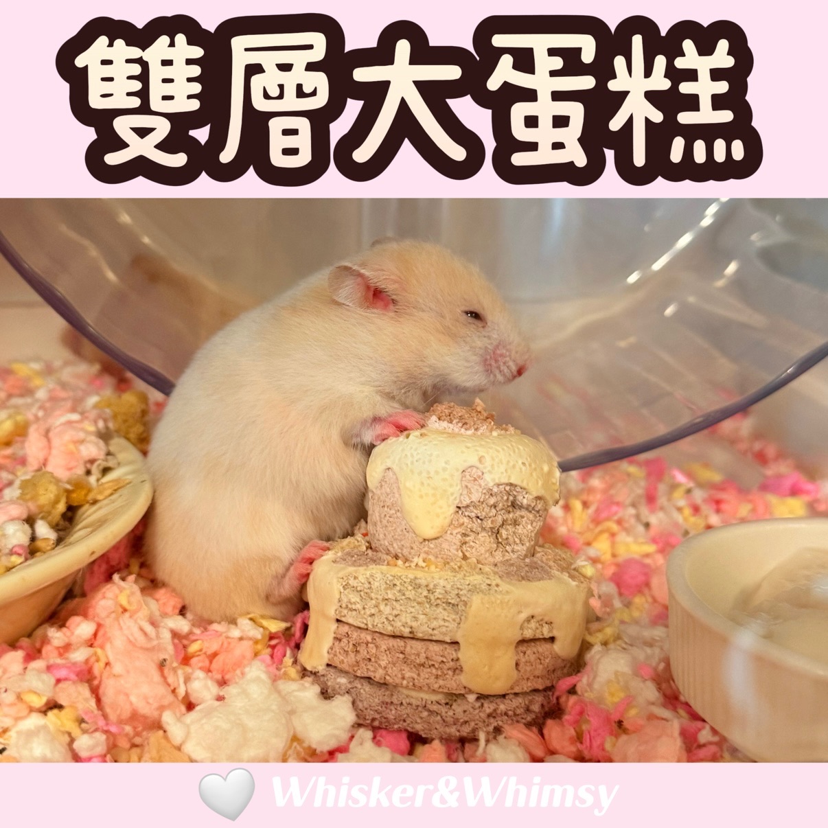 雙層大蛋糕｜生日必備蛋糕🎂
