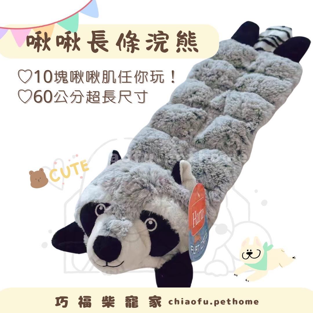啾啾長條浣熊