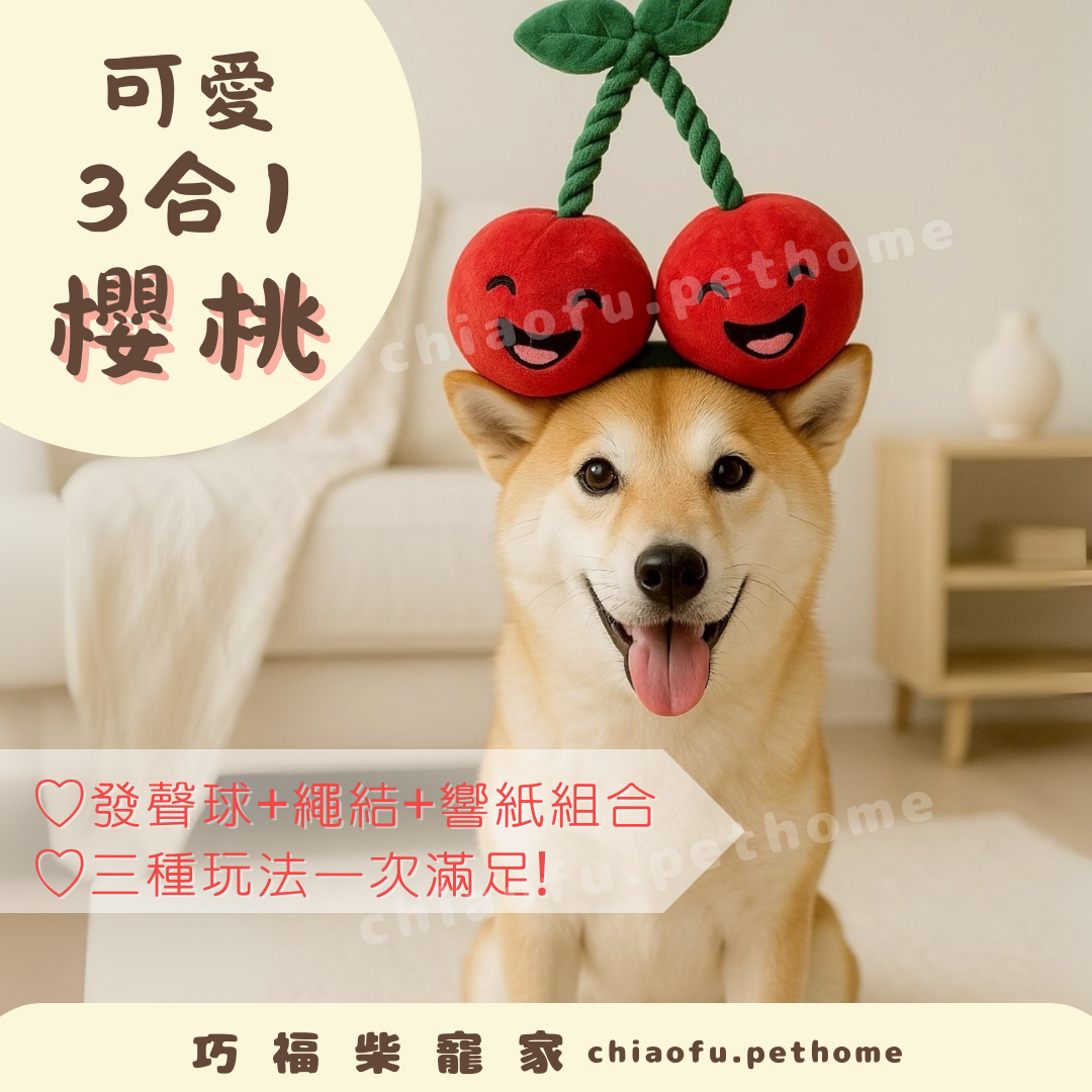 可愛水果系列 | 櫻桃🍒三合一玩法