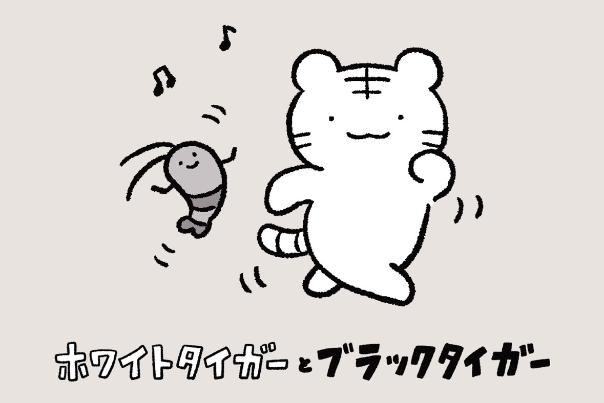 10/24 新品毛巾（適合做為擦臉巾）