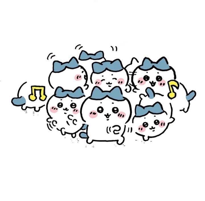 小八區域限定
