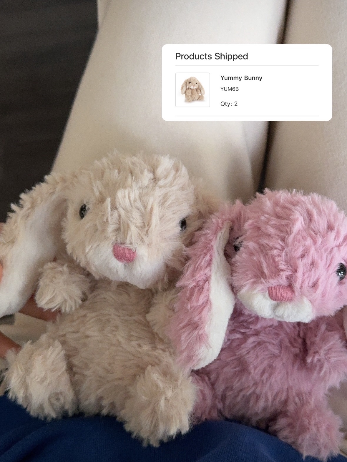 Jellycat美味兔Yummy bunny🐰（兩色！）