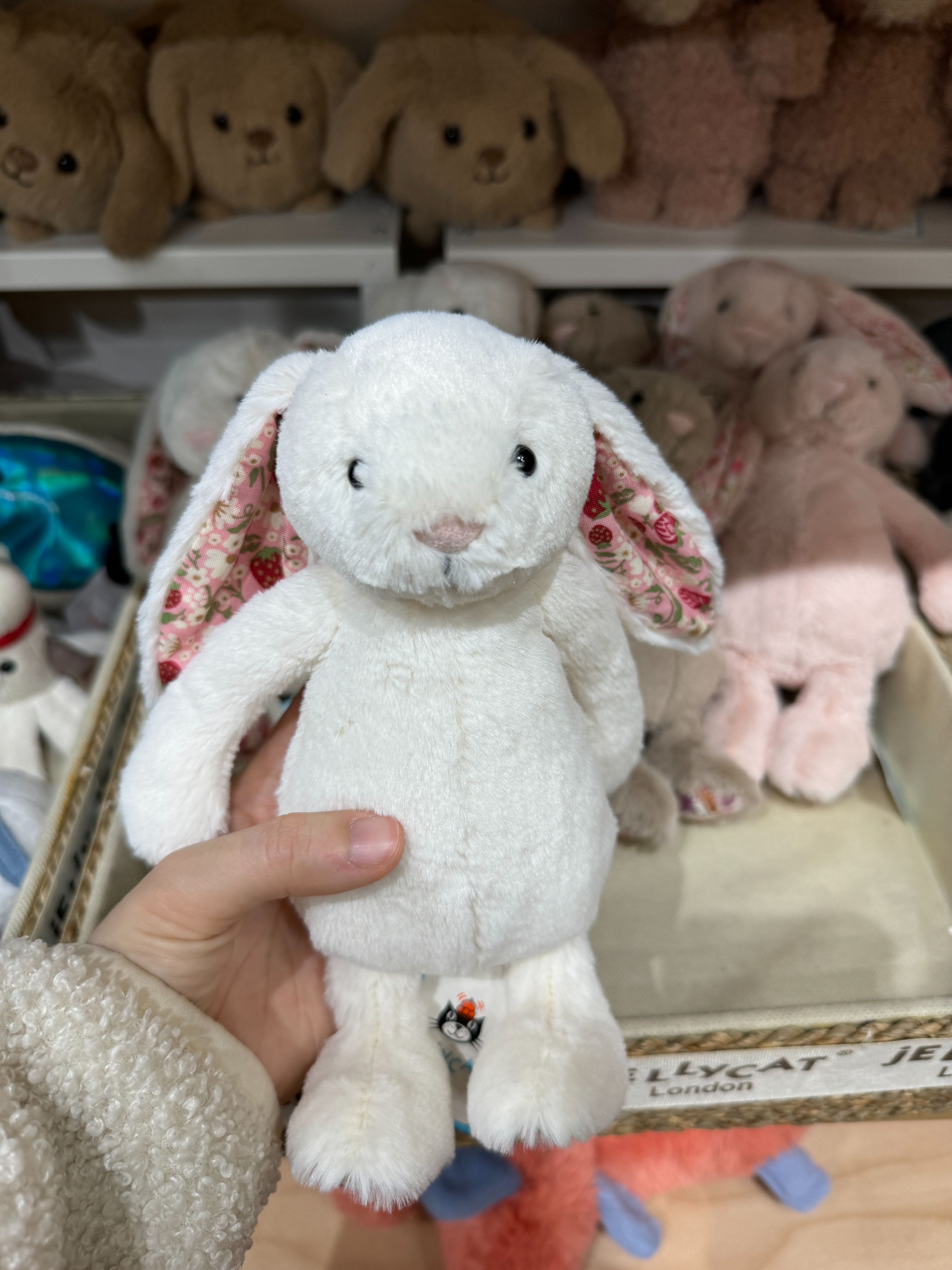 Jellycat邦尼小兔18cm （多款🐰）