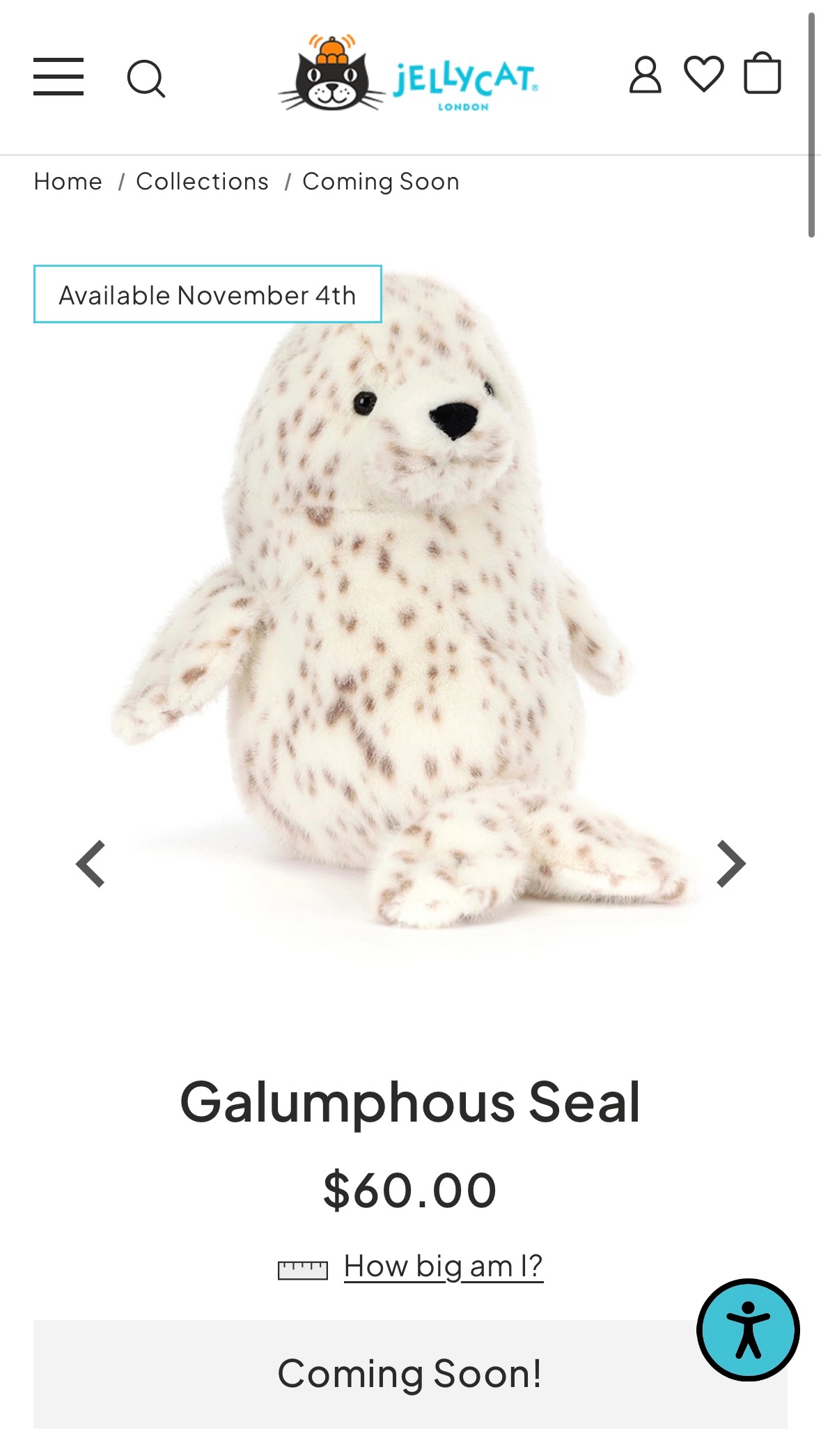 ✨Jellycat官網新品預購✨小海豹🦭