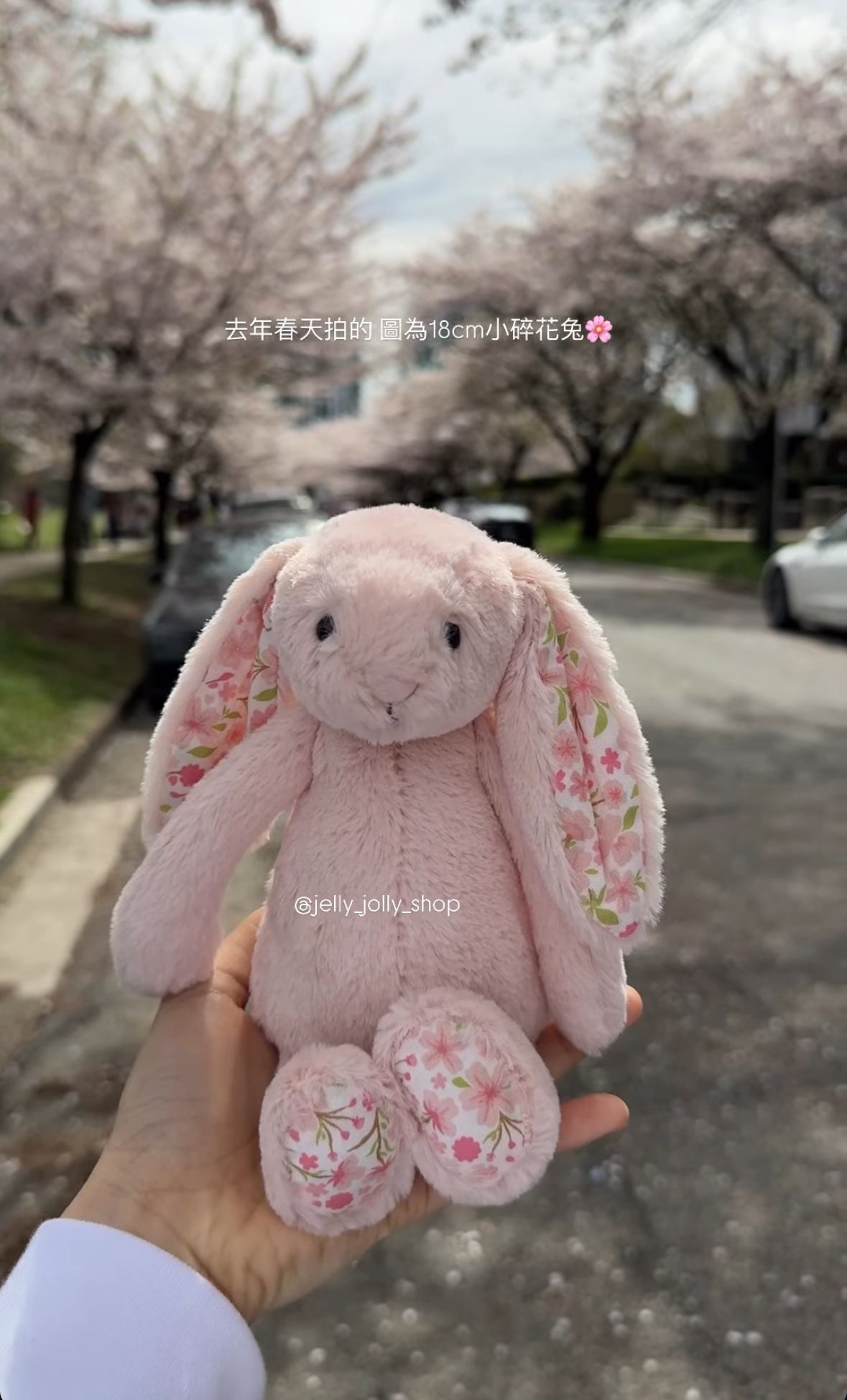Jellycat邦尼小兔18cm （多款🐰）
