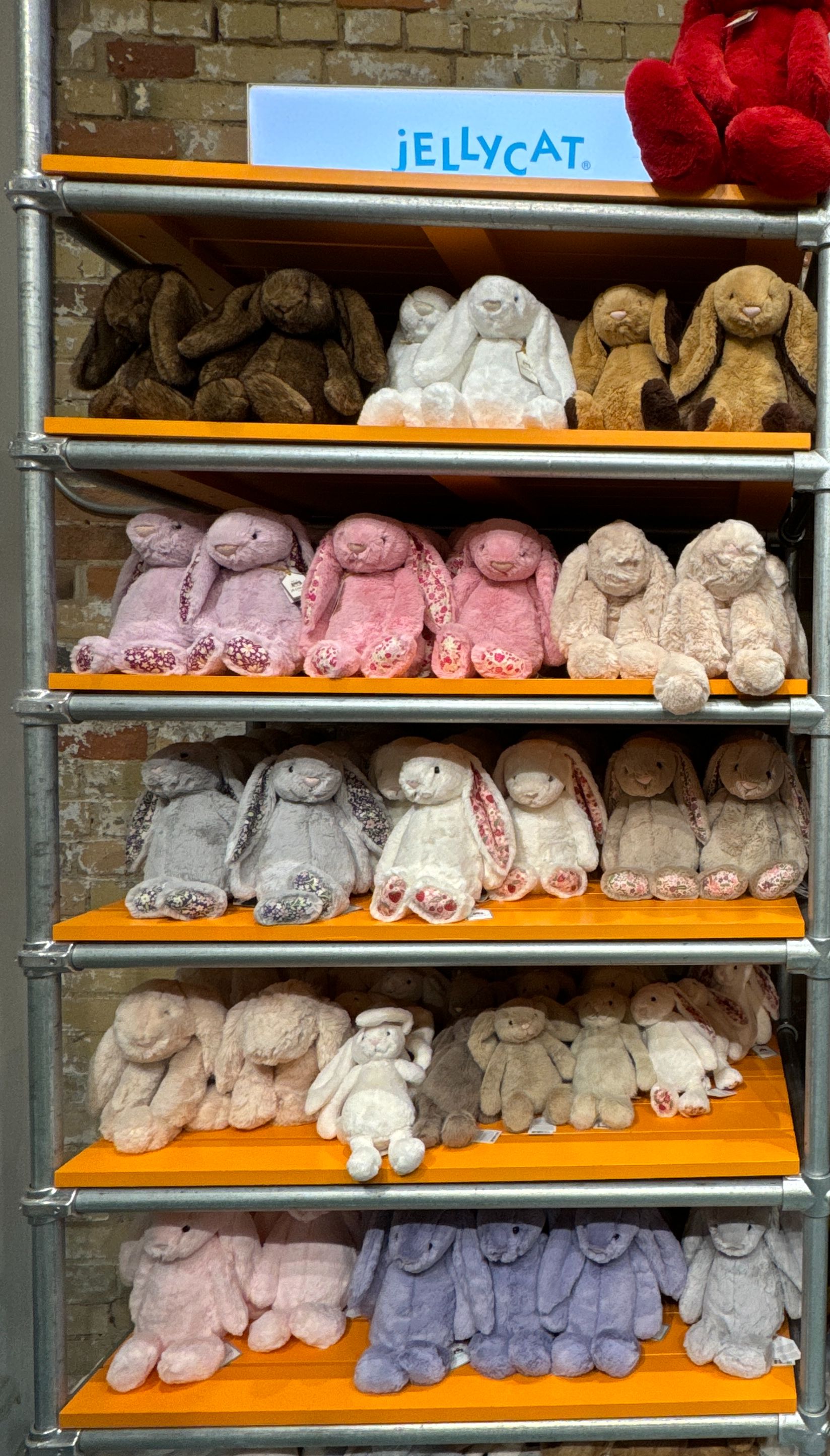 Jellycat經典邦尼兔31cm🐰 （多色）