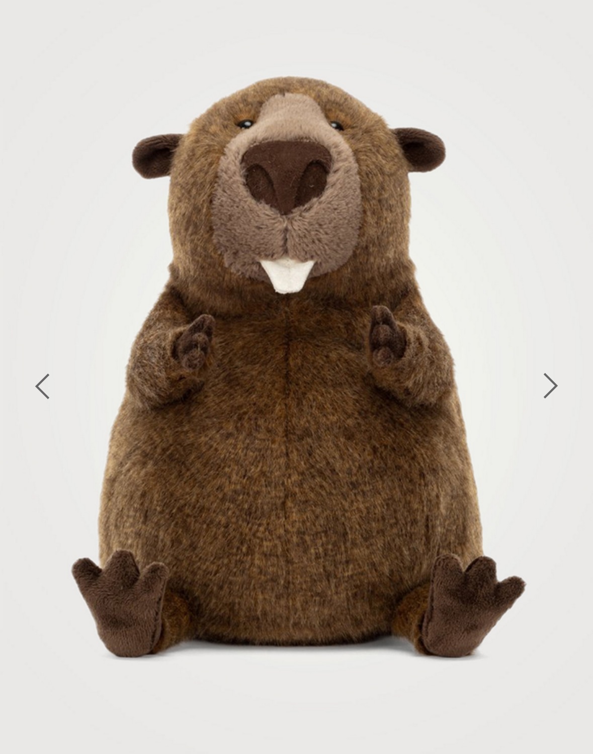 加拿大限定🦫Briggs Beaver