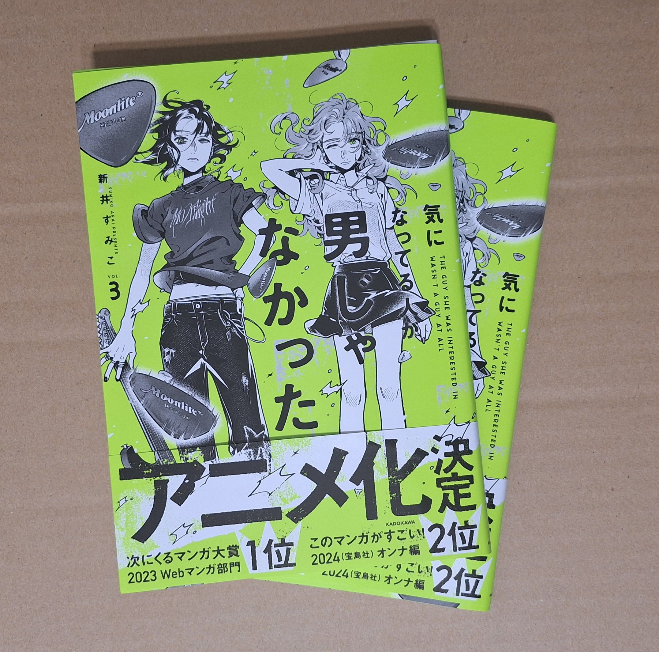 気になってる人が男じゃなかった 作者：新井すみこ