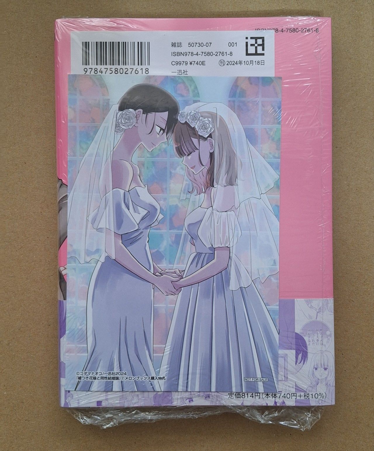 嘘つき花嫁と同性結婚論 作者：コダマナオコ