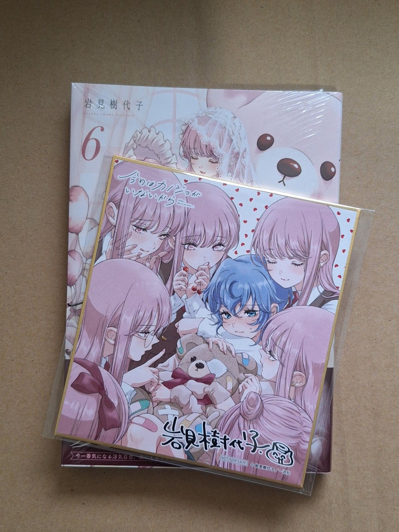 今日はカノジョがいないから 作者：岩見樹代子