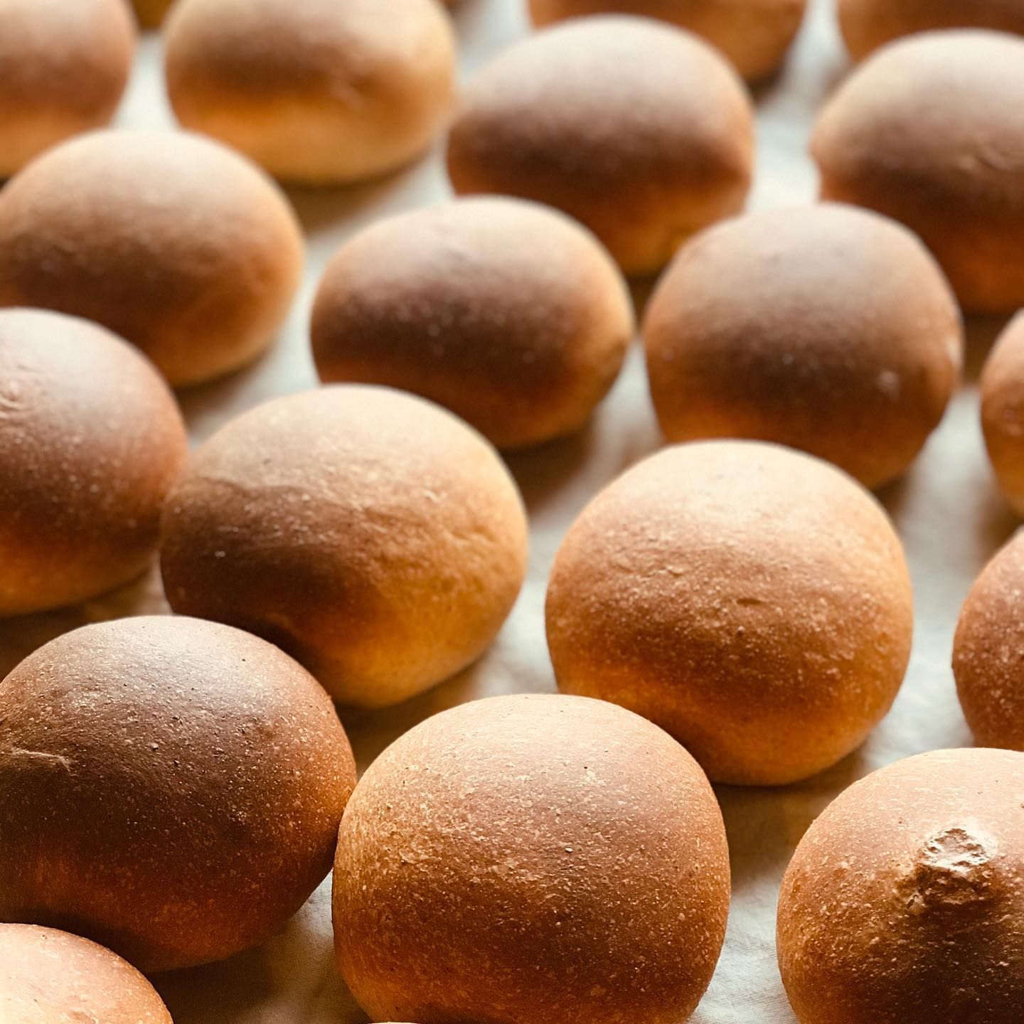 小米野生酵母餐包 （無餡料）