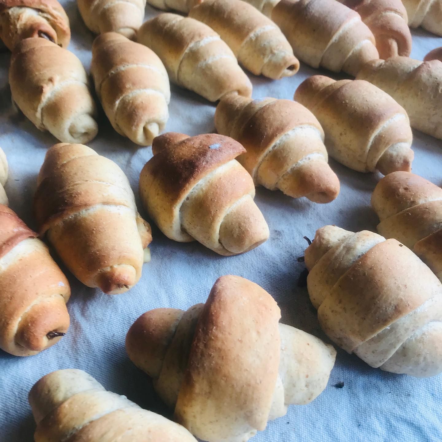 復刻小魚乾辣椒麵包捲