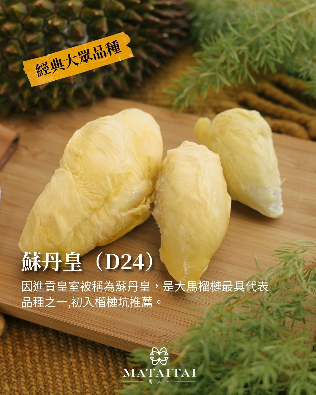 液氮真空盒裝榴槤 D24 蘇丹皇 （400G）