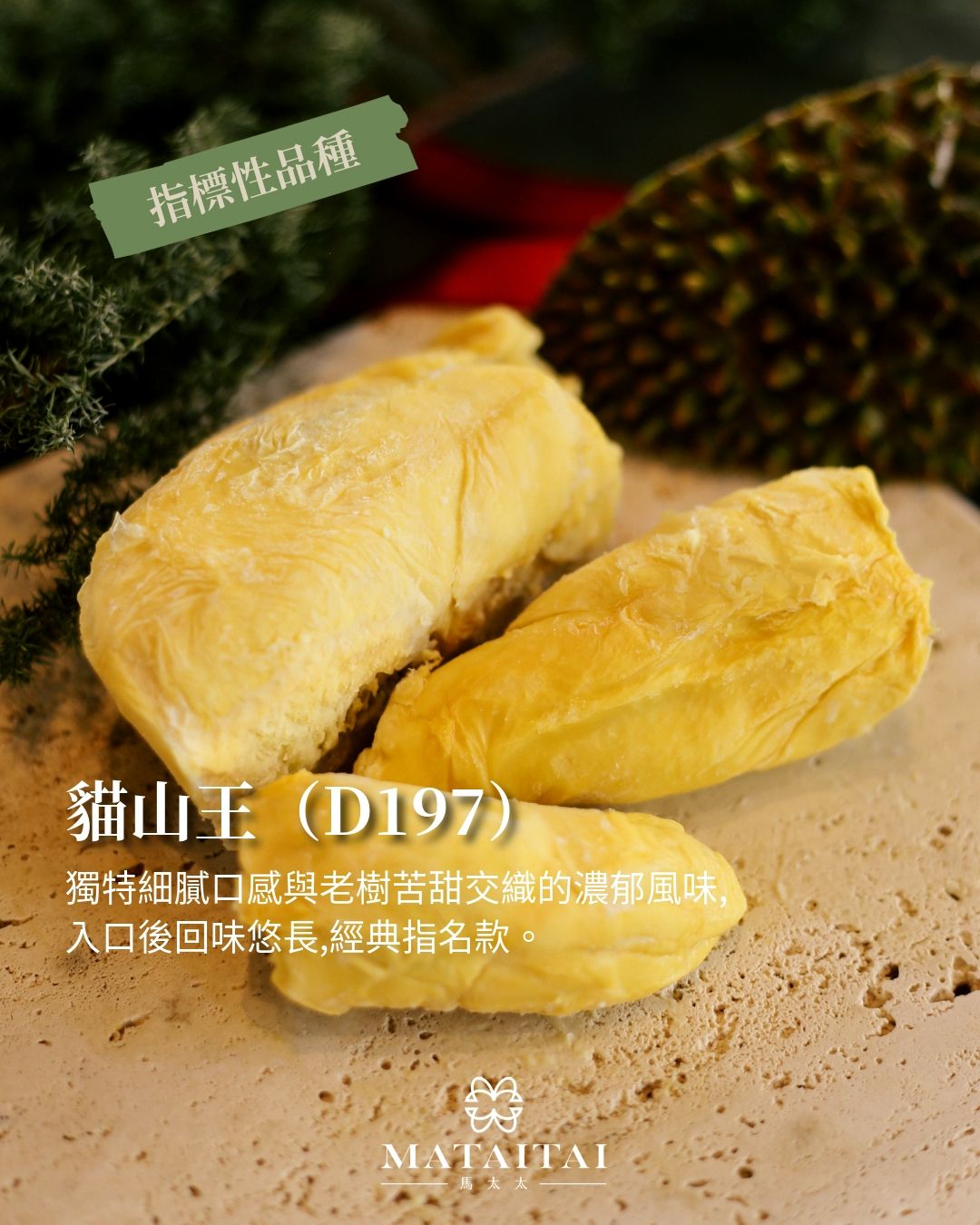 液氮真空盒裝榴槤 D197 貓山王 （400G）