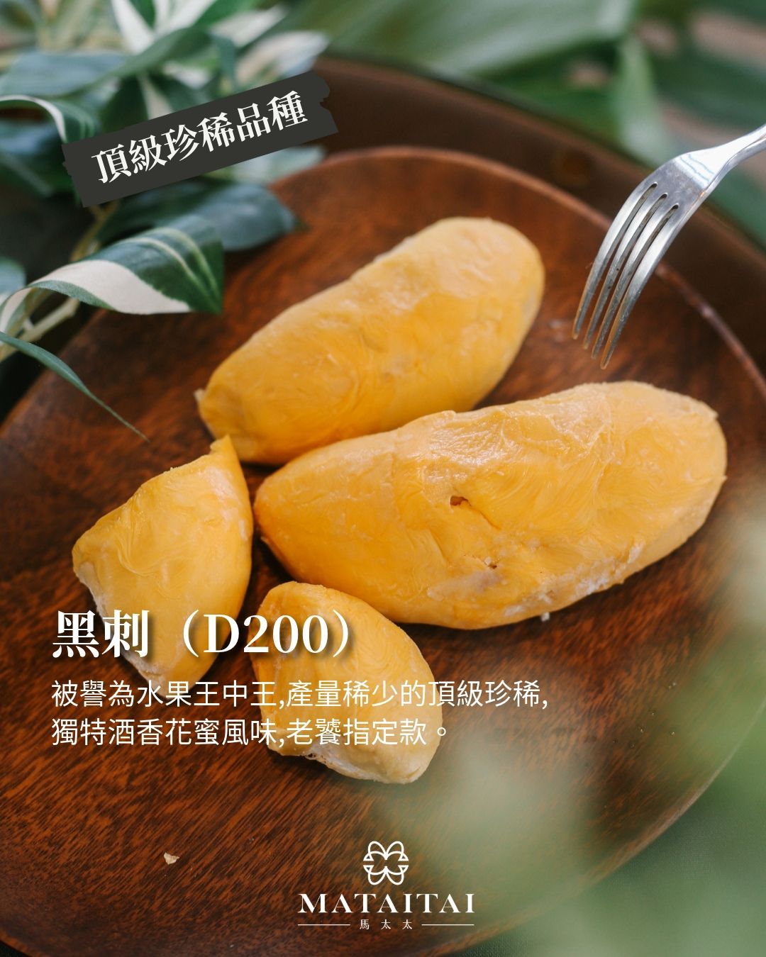 液氮真空盒裝榴槤 D200 黑刺 （400G）