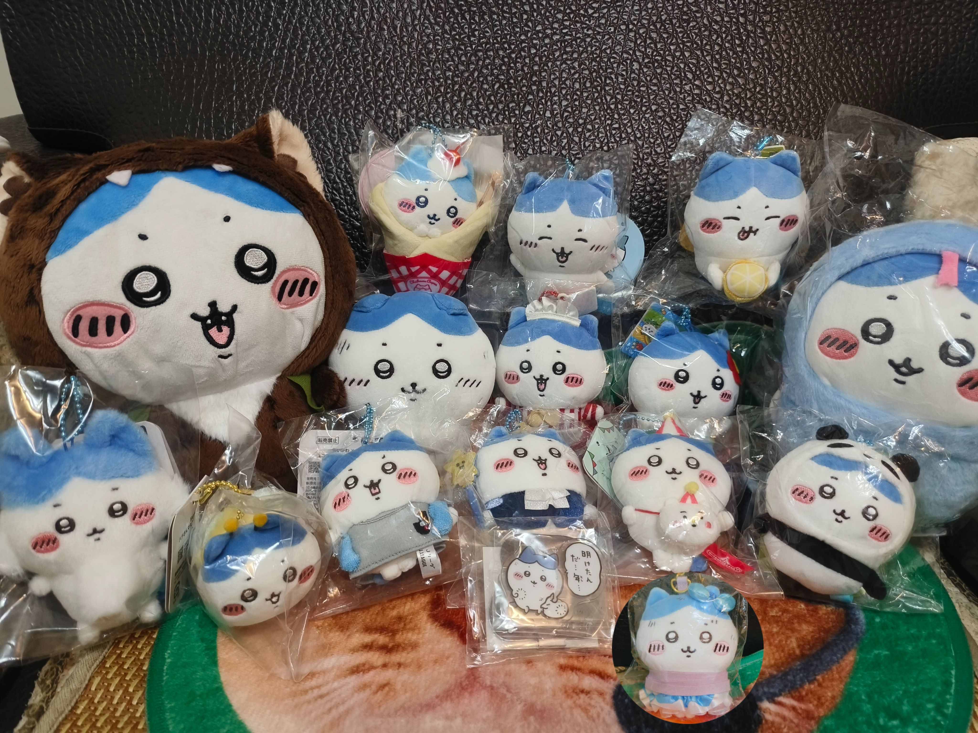 B區 被綁or單售小八專區 都挑過臉的~