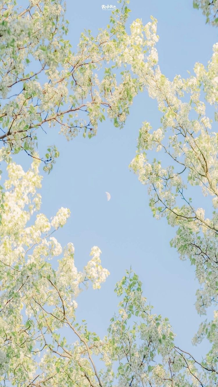六月賣場☁️