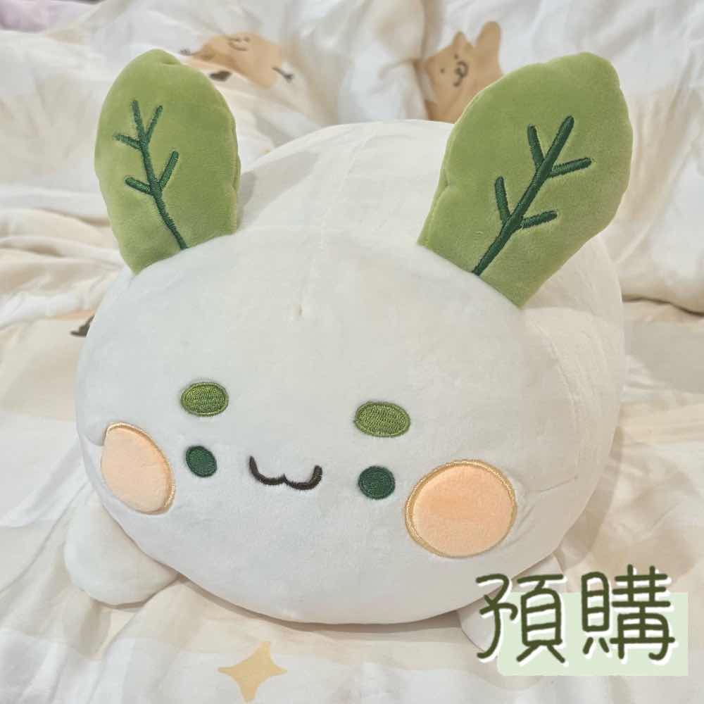 【預購下單區2區】