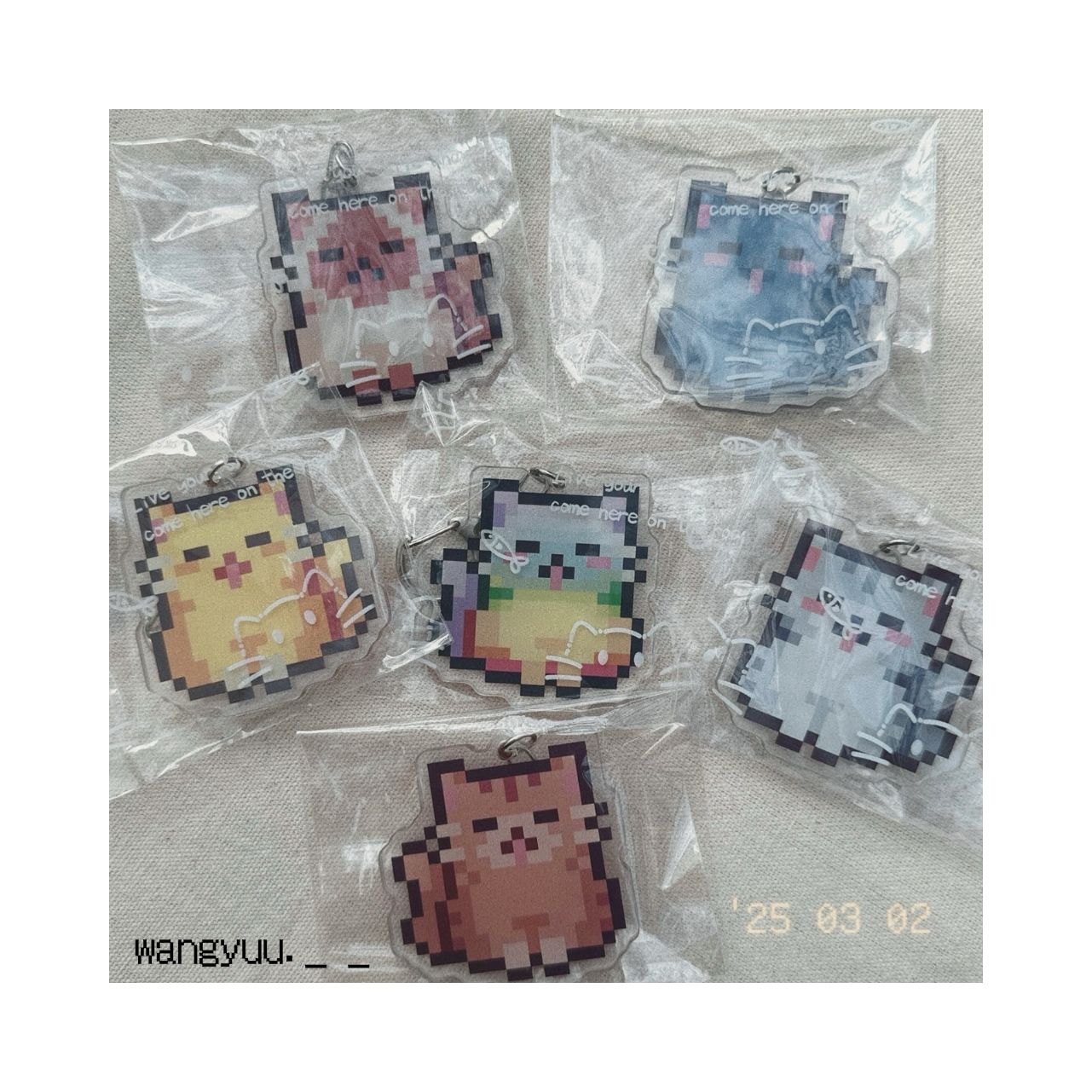 貓咪系列/•᷅‎‎•᷄＼୭