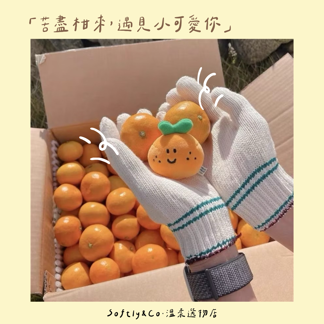 苦盡柑來，遇見小可愛你（現貨）