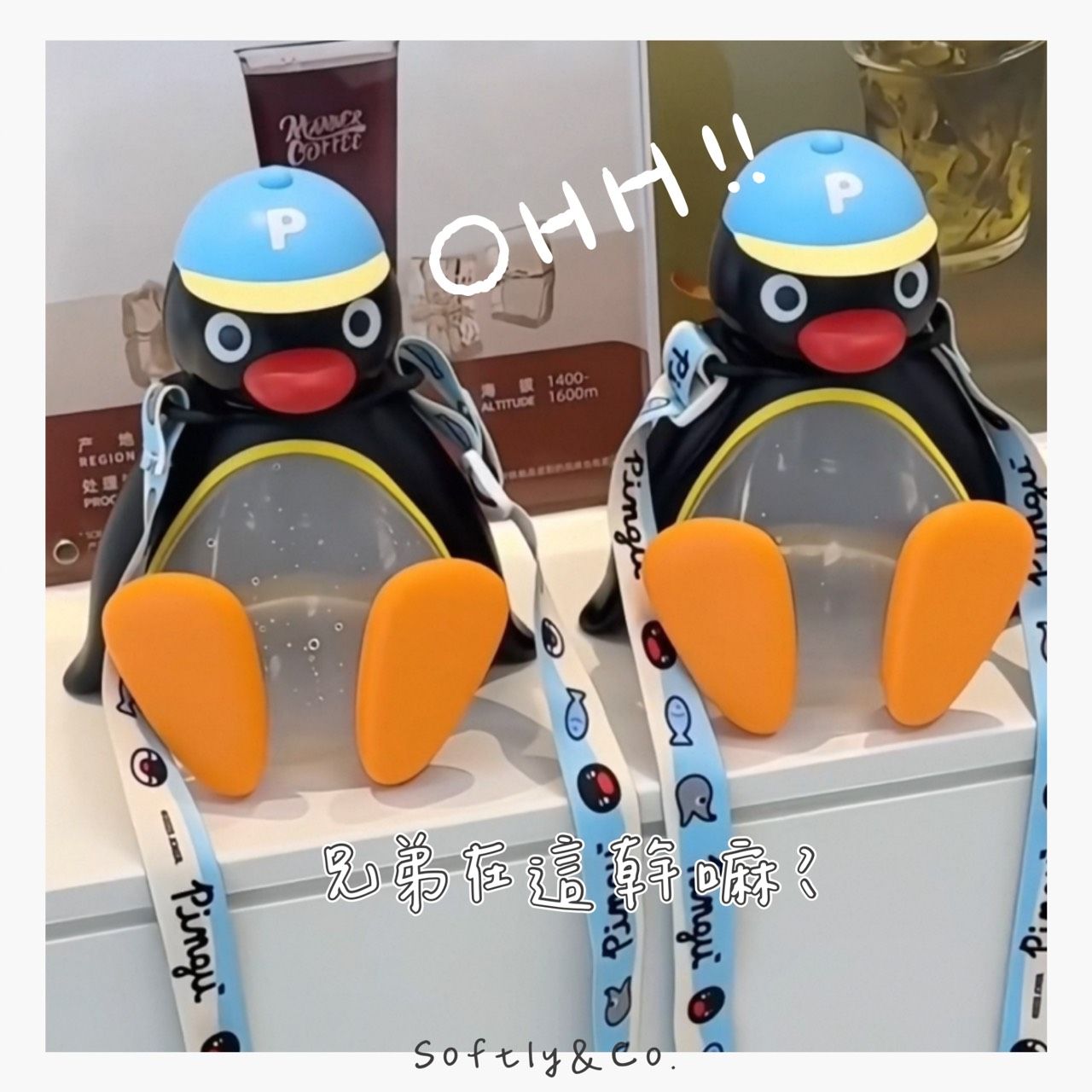 ■正版授權 限時特價■超可愛!夏日pingu背帶水壺 （現貨）