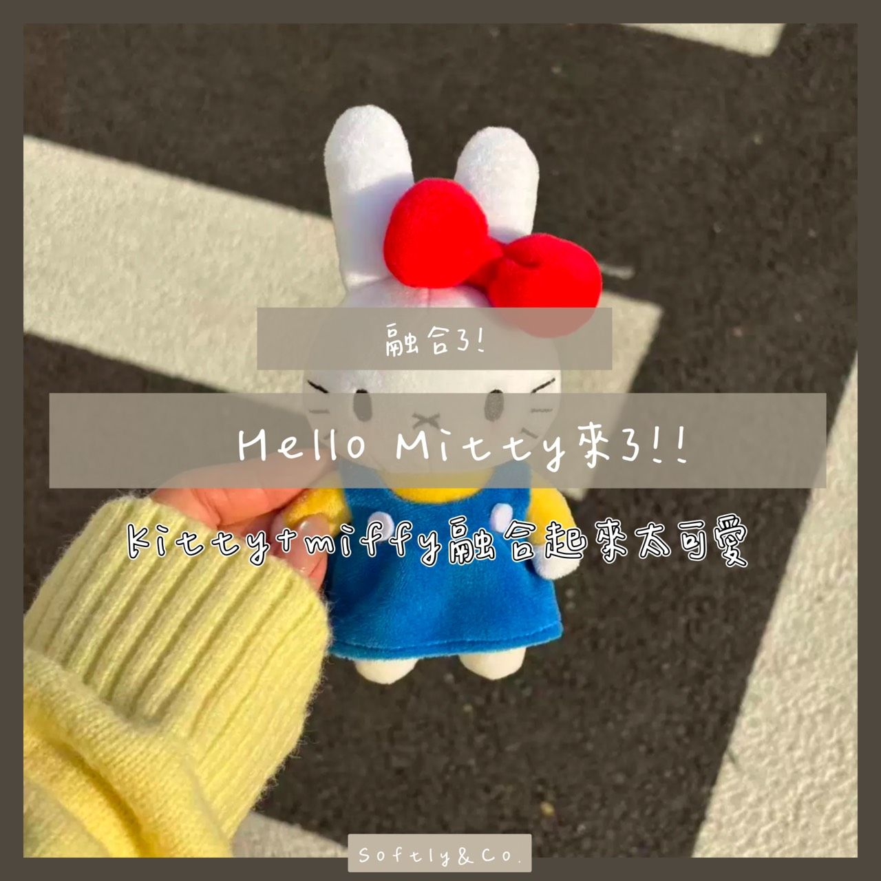 Hello Mitty 來了!（預購）